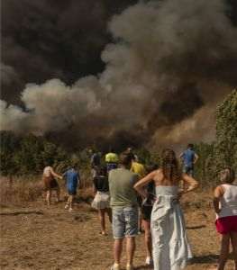 WWF: 91% dintre liderii de afaceri europeni consideră că tranziţia verde întăreşte competitivitatea pe termen lung